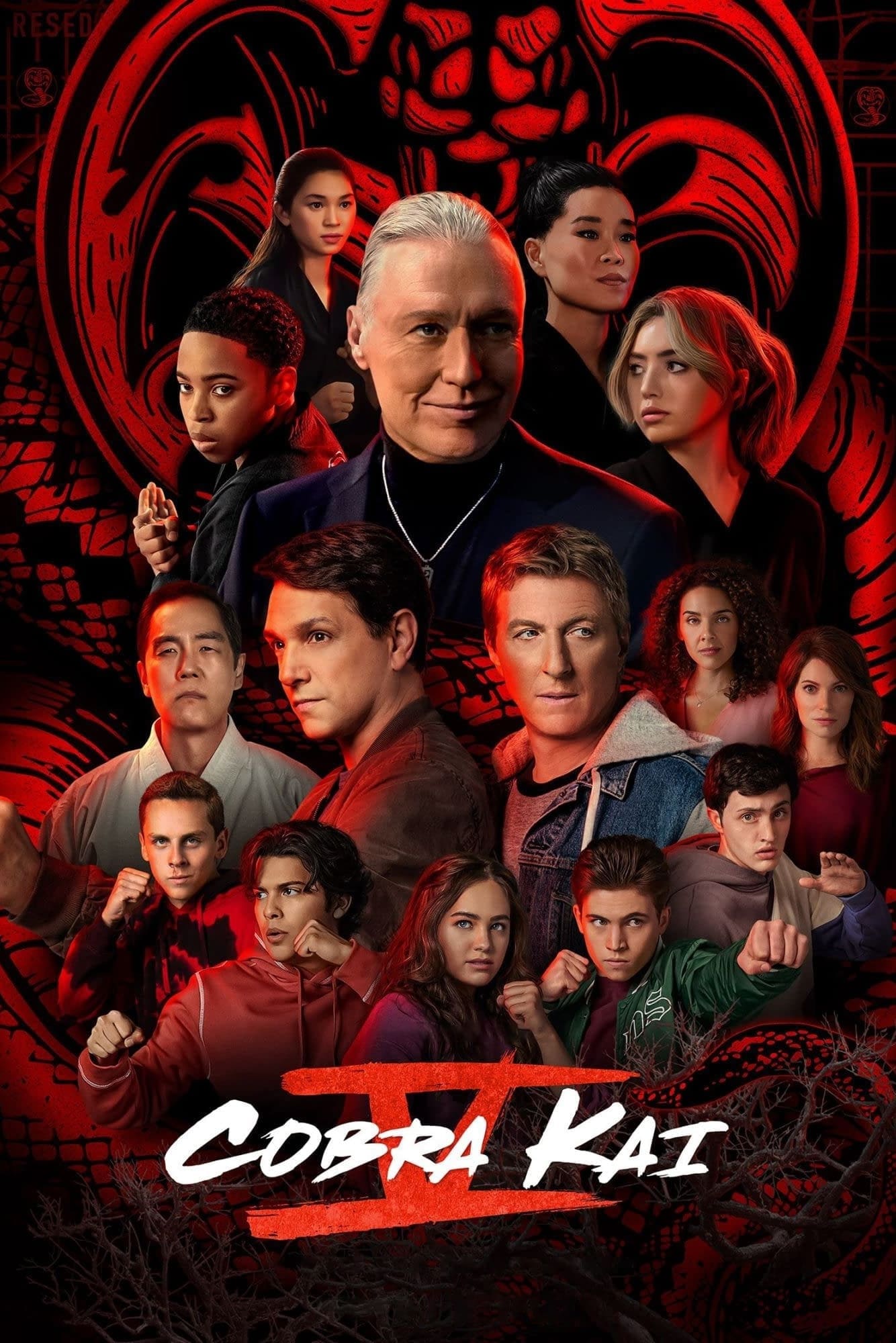 مسلسل Cobra Kai الموسم الخامس الحلقة 10 والاخيرة مترجمة